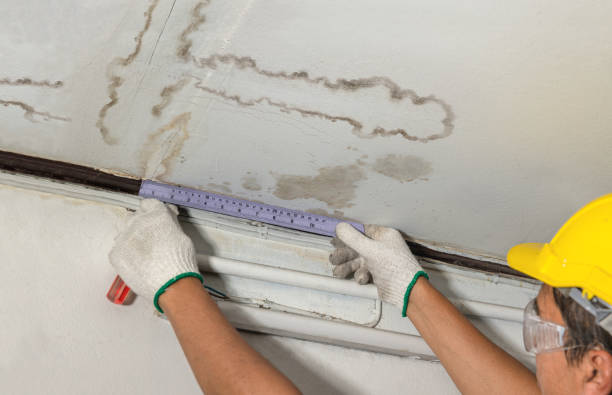 Reliable Water Damage contractor in Kinde, MI by Water Damage Irwin